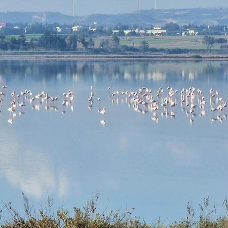 Cozy Beach Apt / 100 Mbit+ Netflix / Near Airport Larnaca Buitenkant foto