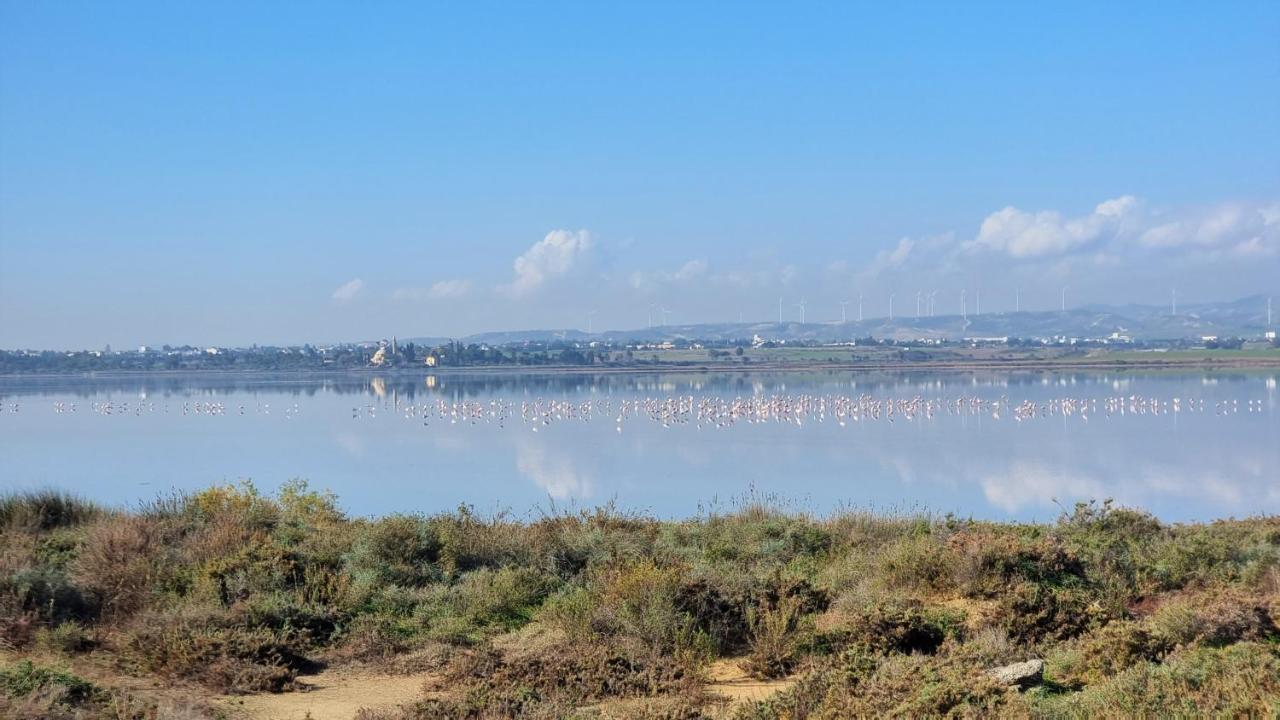Cozy Beach Apt / 100 Mbit+ Netflix / Near Airport Larnaca Buitenkant foto